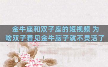 金牛座和双子座的短视频 为啥双子看见金牛脑子就不灵活了